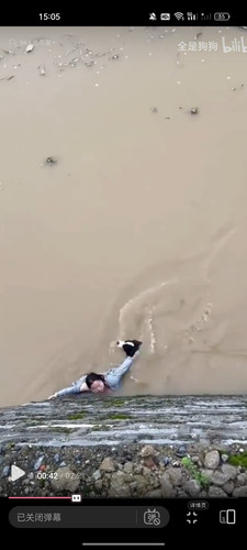 1783766071233.jpg