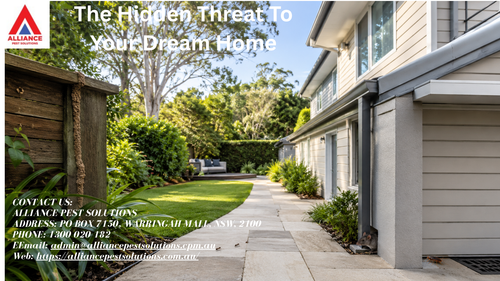 The Hidden Threat To Your Dream Home.png