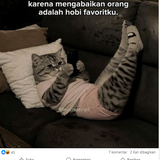 Screenshot 2.png