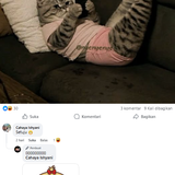 Screenshot 5.png