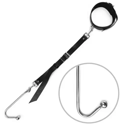 Collar and hook.webp