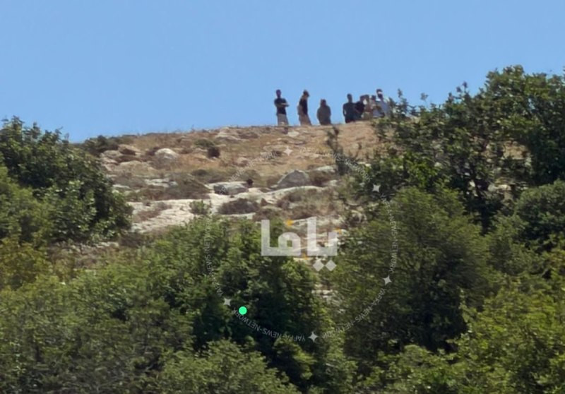 صورة| تواجد لقطعان المستوطنين على جبل طاروسا في مدينة دورا جنوب الخليل...