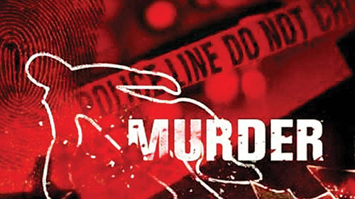 Trusted Legal Support for Murder Cases in Patiala House Court.jpg
