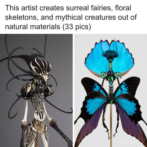 surreal flower insect skeleton sculptures cedric laquieze.jpg