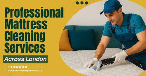 Professional Mattress Cleaning Services Across London.jpg