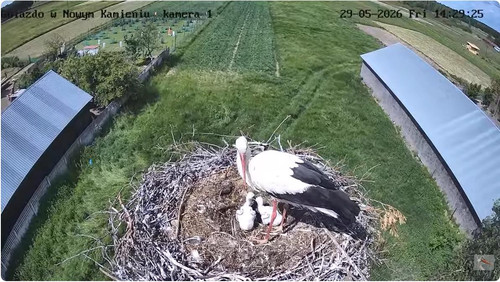 MWSnap774.jpg