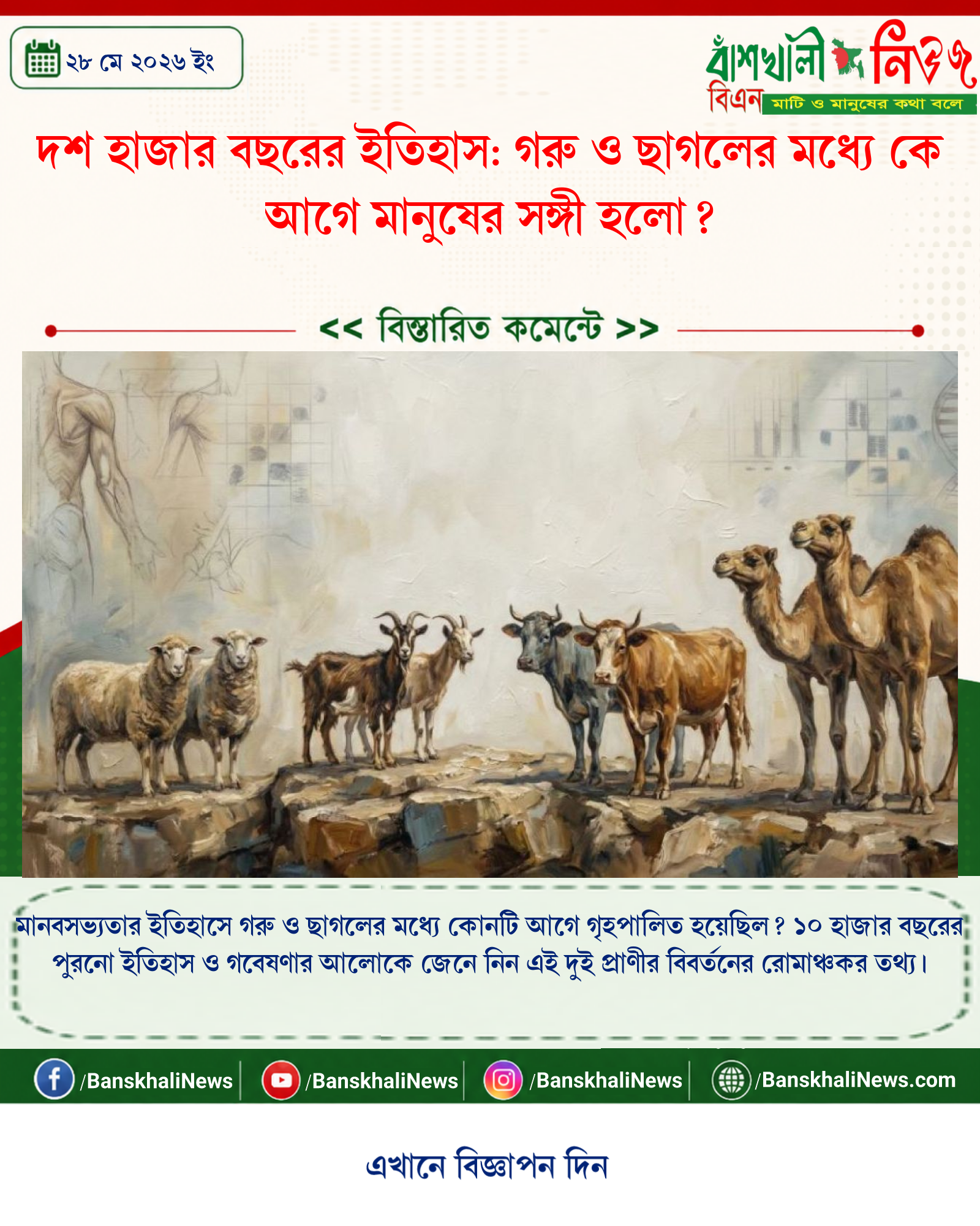 দশ হাজার বছরের ইতিহাস: গরু ও ছাগলের মধ্যে কে আগে মানুষের সঙ্গী হলো?