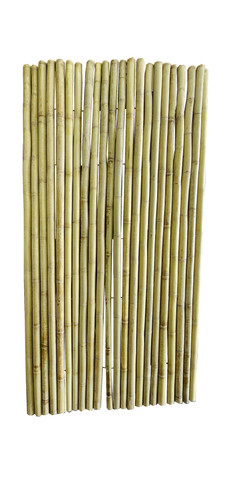 BWF 989 Prime.jpg