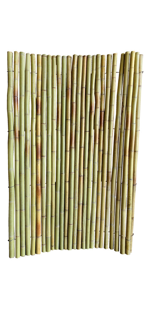 BWF 968 Prime.jpg