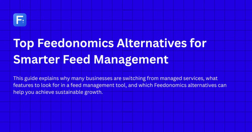 Top Feedonomics Alternatives for Smarter Feed Management.jpg