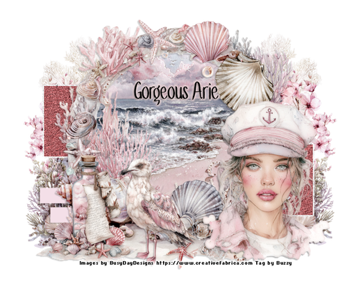PinkNauticalBGorgeousArieBuzzy vi.png