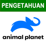 animal