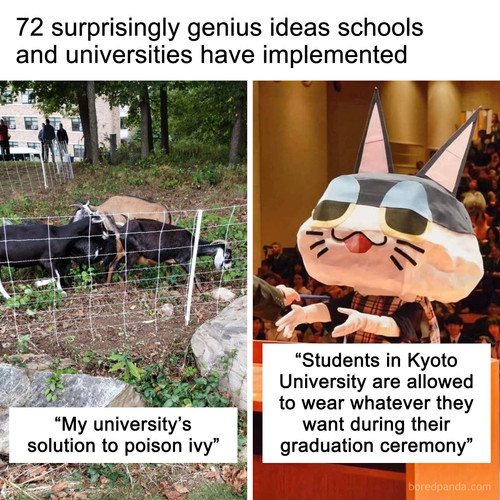 cool school university things.jpg