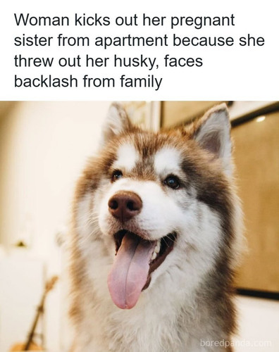 dog over pregnant sister.jpg