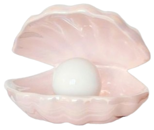 image removebg preview cropped.png