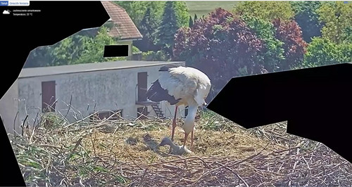 MWSnap688.jpg