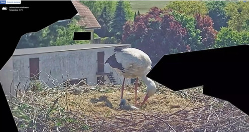 MWSnap686.jpg