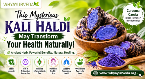 Why Ayurveda Unlock Kali Haldi's Power.png
