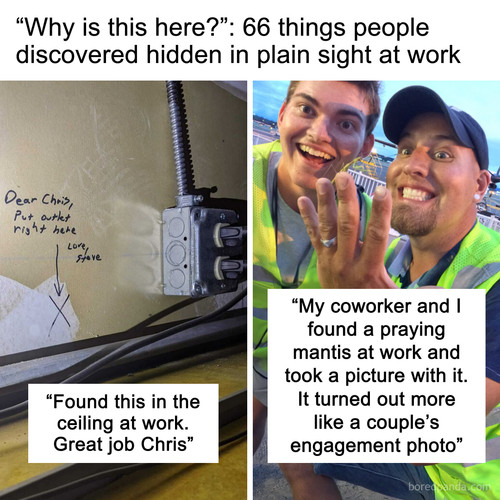random things people found at work.jpg