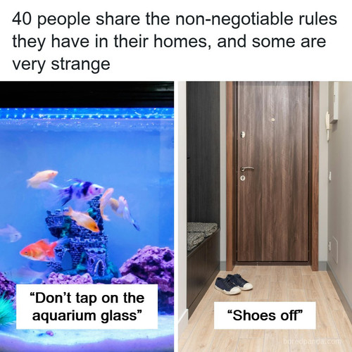 non negotiable house rule.jpg