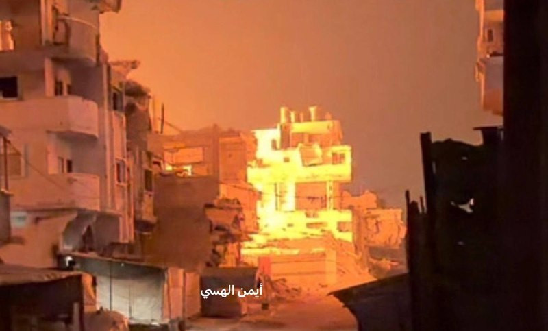 صورة الخبر