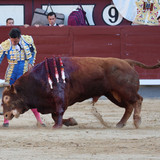 C2W1Dx9.th.jpg