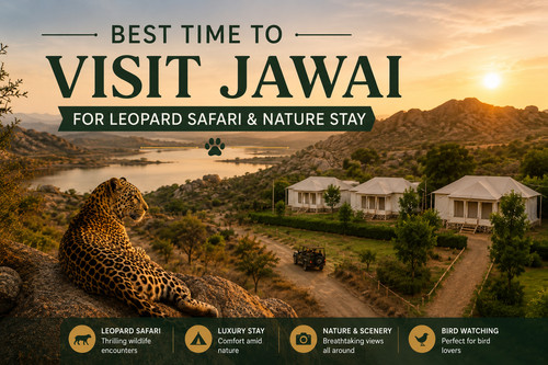 Best Time to Visit Jawai for Leopard Safari & Luxury Stay.jpg