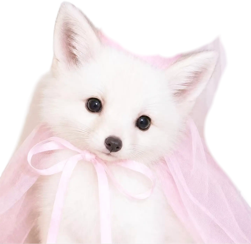 1000136805.png