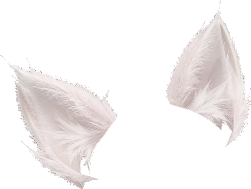 1000136809.png