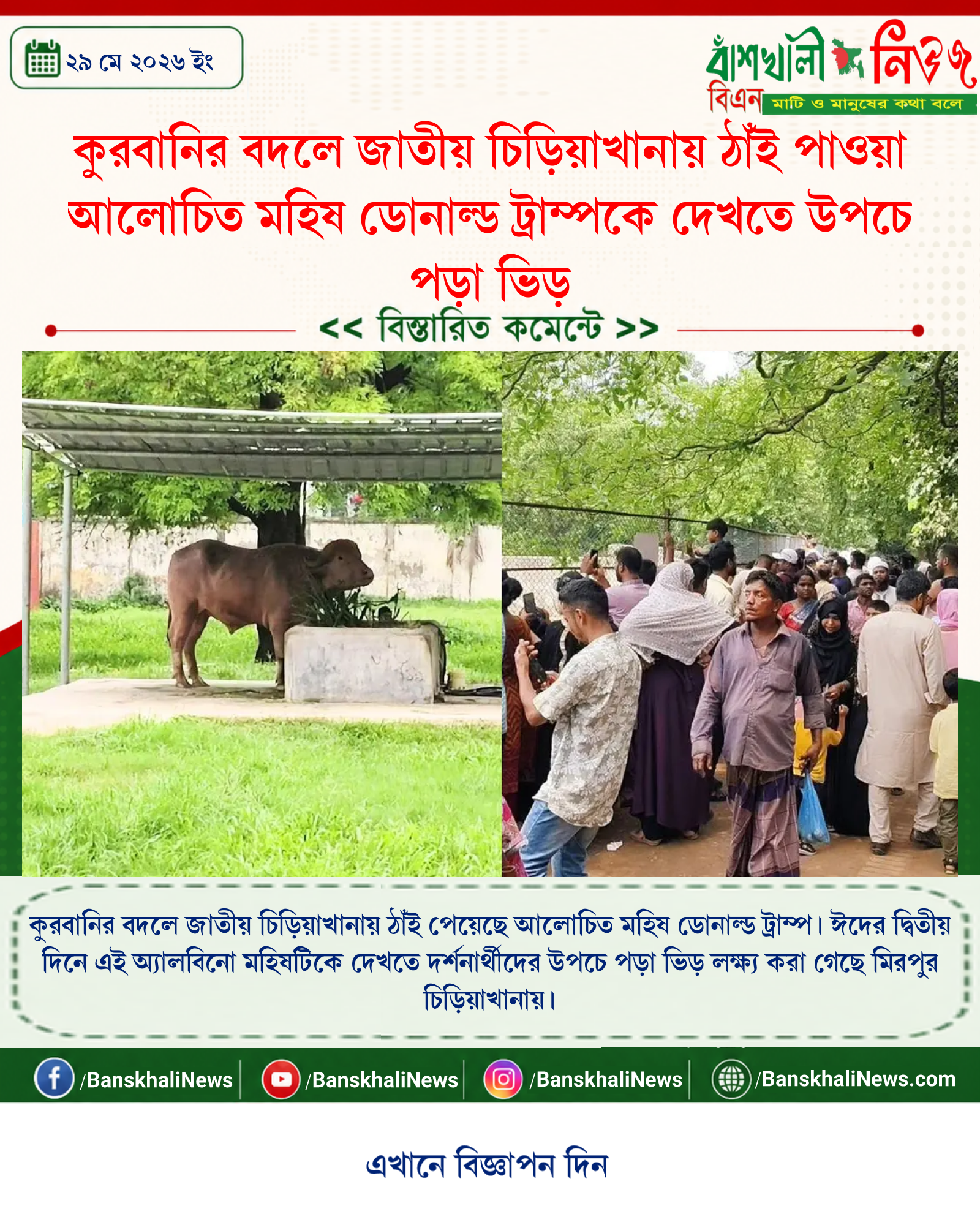 কুরবানির বদলে জাতীয় চিড়িয়াখানায় ঠাঁই পাওয়া আলোচিত মহিষ ডোনাল্ড ট্রাম্পকে দেখতে উপচে পড়া ভিড়