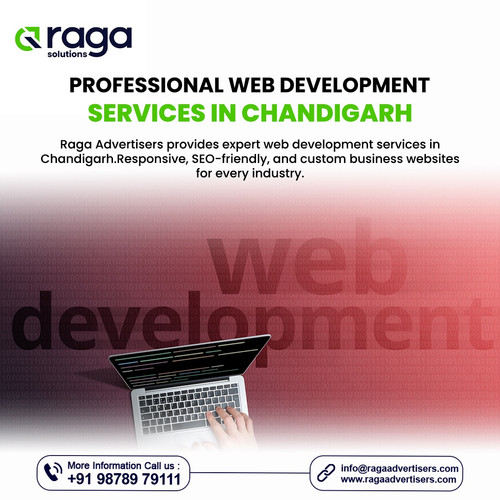 Professional Web Development Services.jpg