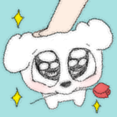 1000129736.png