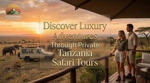 Discover Luxury Adventures Through Private Tanzania Safari Tours.jpg