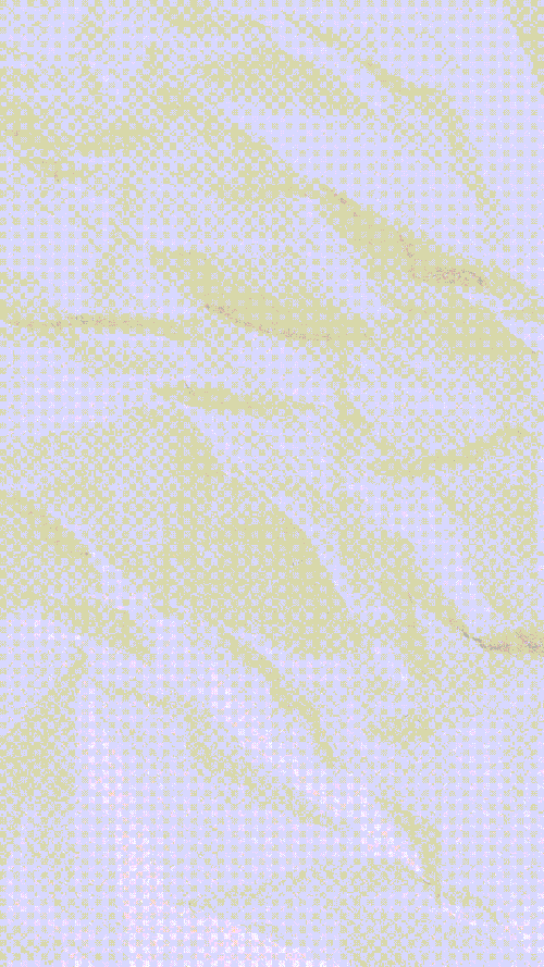 ريلز ١٠٠٠ 1000.gif