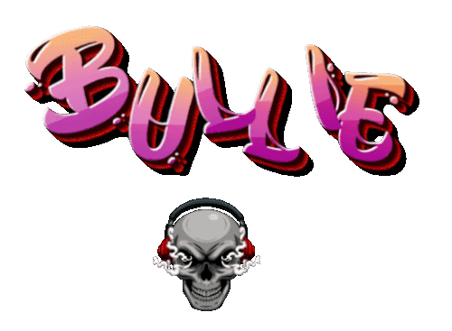 Bullie 5 29 2026.gif