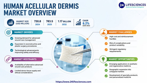 httpswww.24lifesciences.com 2026 05 28T130005.065.jpg