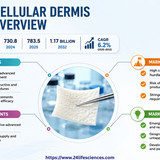 httpswww.24lifesciences.com 2026 05 28T130005.065