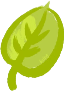 1000133550.png