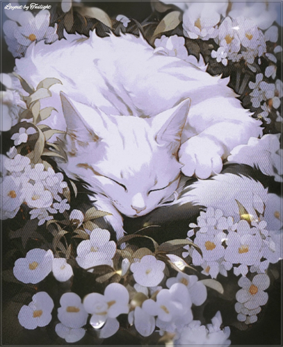 Twilight 20260531 083332 0000.png