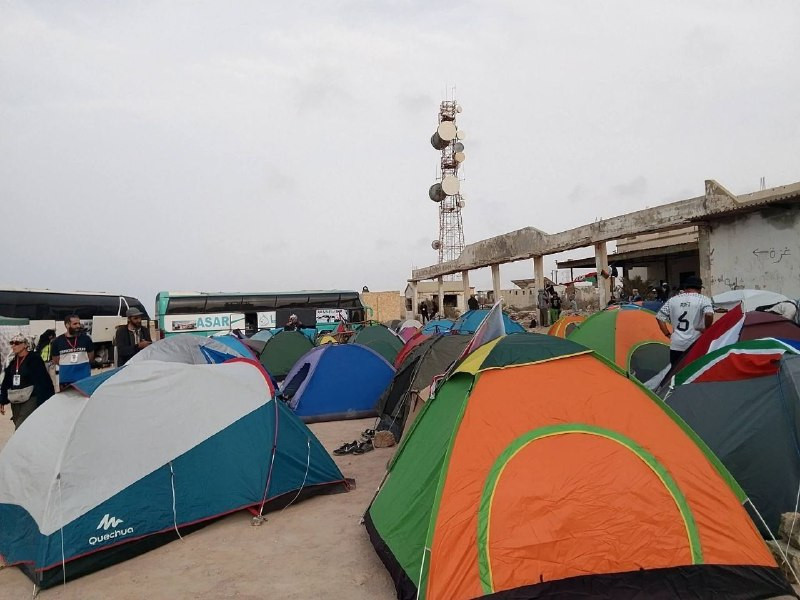 صورة الخبر