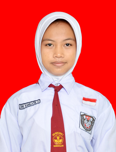 7. DINI KAMILATIN AGUSTIA.jpg