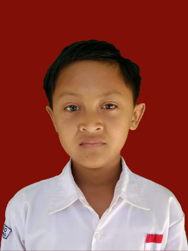 ALFI 3X4.jpg