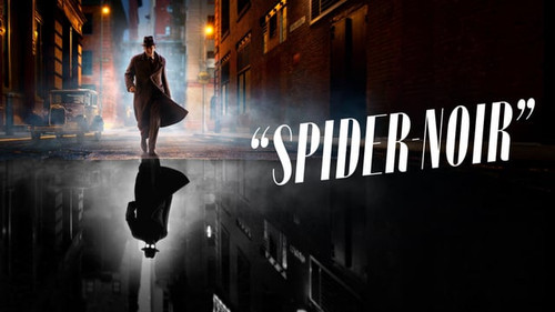 spider noir v0 c0t754ls954h1.jpg