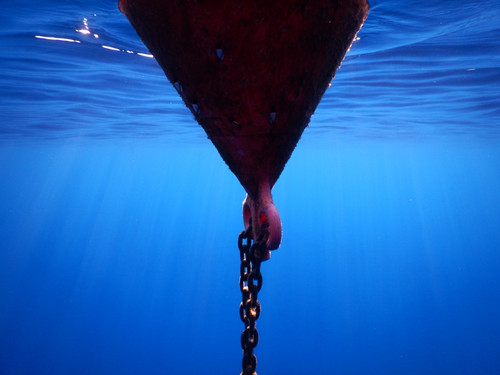 DSCN4616.jpg