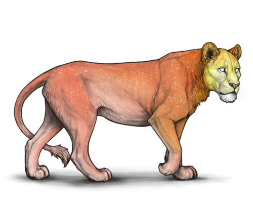 IMG 1170.png