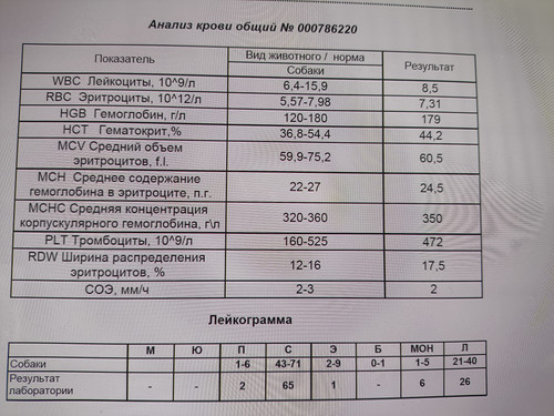 IMG 20260519 152604