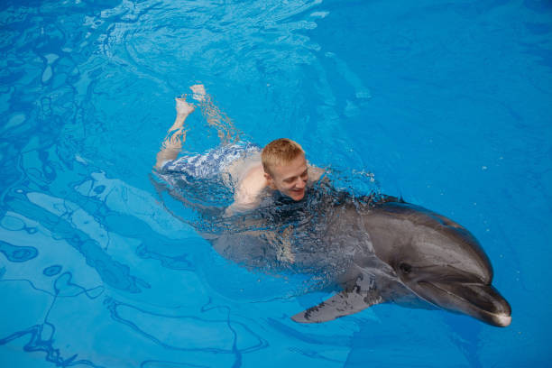 Swim with Dolphins