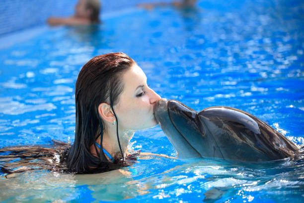 Swim with Dolphins