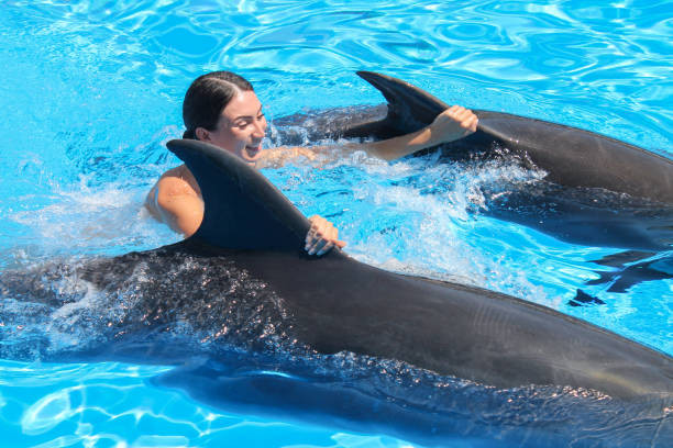 Swim with Dolphins