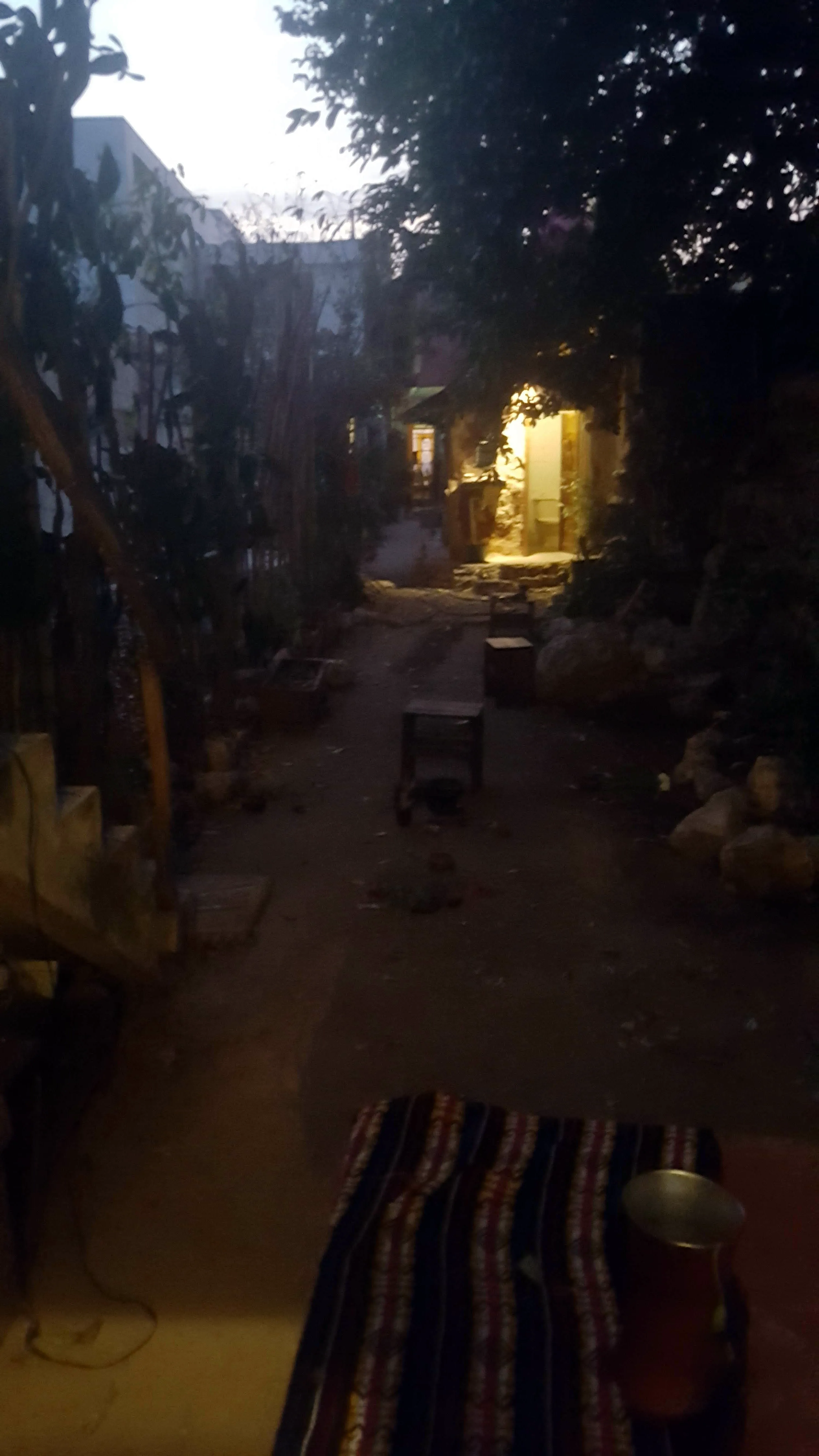 Vista del jardín de Maria Moctezuma con el área acondicionada para la transmisión en vivo